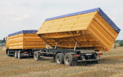 Услуги зерновозов для перевозки зерна - Махачкала, цены, предложения специалистов