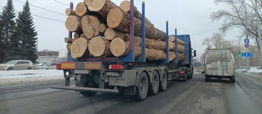 Поиск транспорта для перевозки леса, бревен и кругляка стоимость услуг и где заказать - Махачкала